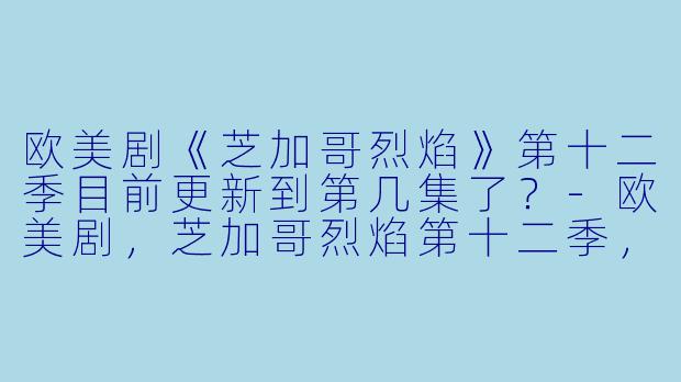 欧美剧《芝加哥烈焰》第十二季目前更新到第几集了？