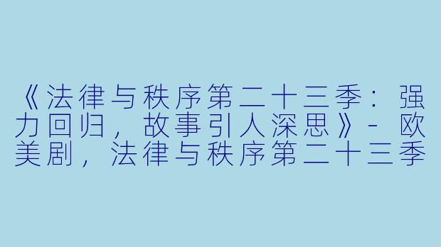 《法律与秩序第二十三季：强力回归，故事引人深思》-欧美剧，法律与秩序第二十三季，更新至13集