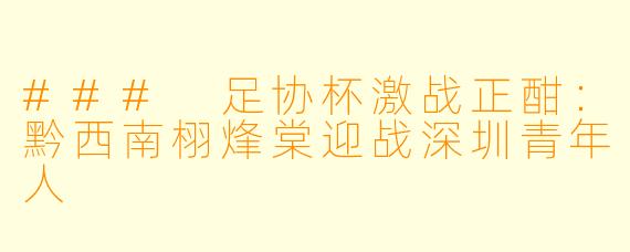 ### 足协杯激战正酣：黔西南栩烽棠迎战深圳青年人