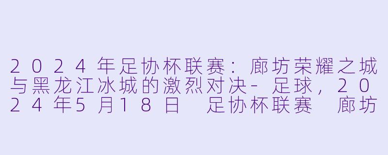 2024年足协杯联赛:廊坊荣耀之城与黑龙江冰城的激烈对决
