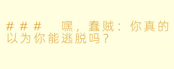 ### 嘿，蠢贼：你真的以为你能逃脱吗？