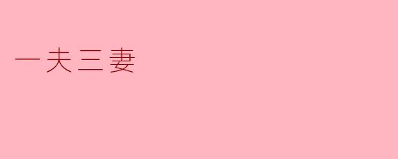 一夫三妻:传统文化与现代生活的交汇