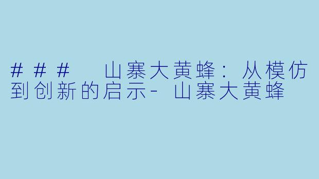 ### 山寨大黄蜂：从模仿到创新的启示-山寨大黄蜂