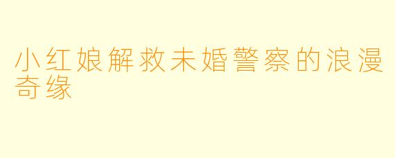 小红娘解救未婚警察的浪漫奇缘