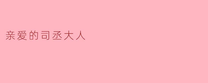 亲爱的司丞大人，您为何总是忙于政务，难得有时间休息呢？