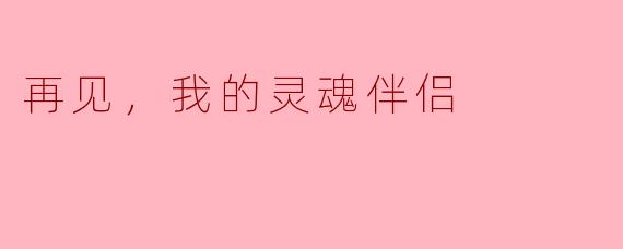 再见，我的灵魂伴侣