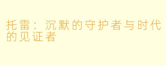托雷：沉默的守护者与时代的见证者