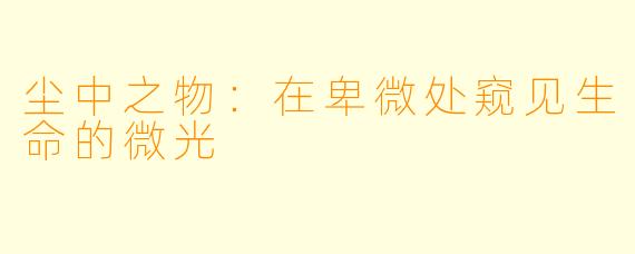 尘中之物：在卑微处窥见生命的微光