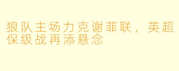 狼队主场力克谢菲联，英超保级战再添悬念