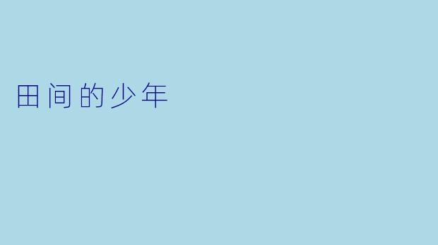 田间的少年