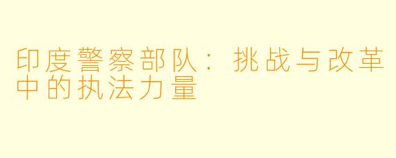 印度警察部队：挑战与改革中的执法力量