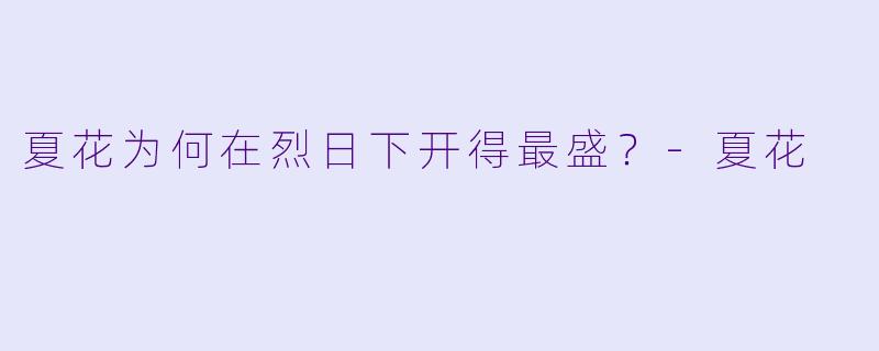 夏花为何在烈日下开得最盛？-夏花