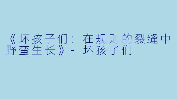 《坏孩子们：在规则的裂缝中野蛮生长》-坏孩子们