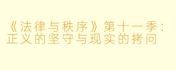 《法律与秩序》第十一季：正义的坚守与现实的拷问