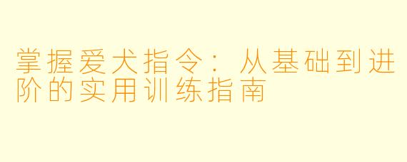 掌握爱犬指令：从基础到进阶的实用训练指南