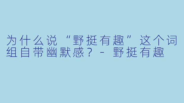 为什么说“野挺有趣”这个词组自带幽默感?