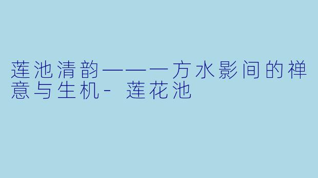 莲池清韵——一方水影间的禅意与生机-莲花池
