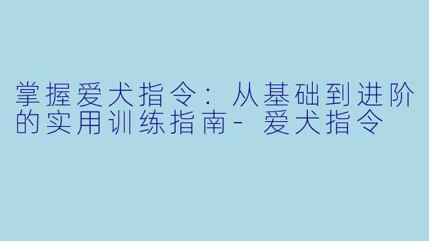 掌握爱犬指令：从基础到进阶的实用训练指南-爱犬指令