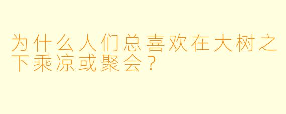 为什么人们总喜欢在大树之下乘凉或聚会？