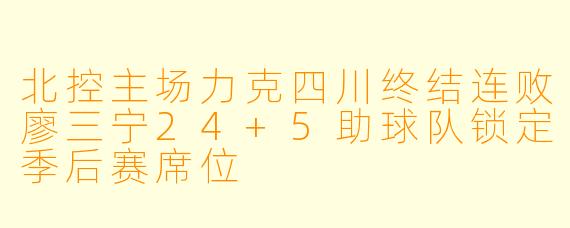 北控主场力克四川终结连败廖三宁24+5助球队锁定季后赛席位