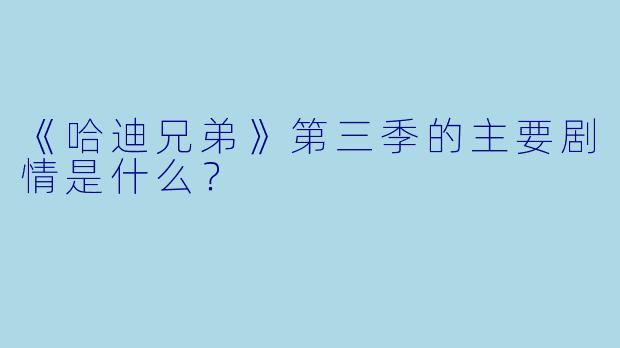 《哈迪兄弟》第三季的主要剧情是什么?