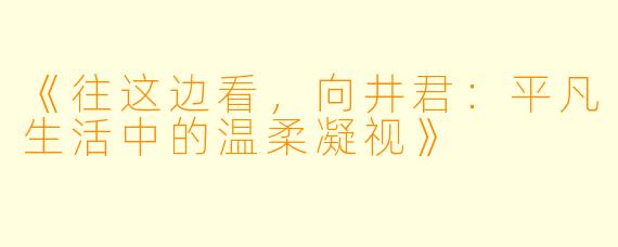 《往这边看，向井君：平凡生活中的温柔凝视》