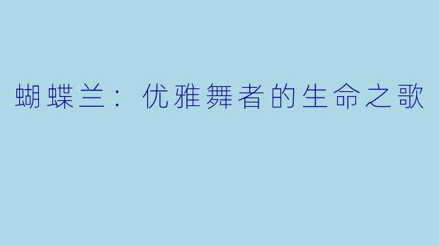 蝴蝶兰：优雅舞者的生命之歌