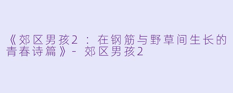 《郊区男孩2：在钢筋与野草间生长的青春诗篇》-郊区男孩2