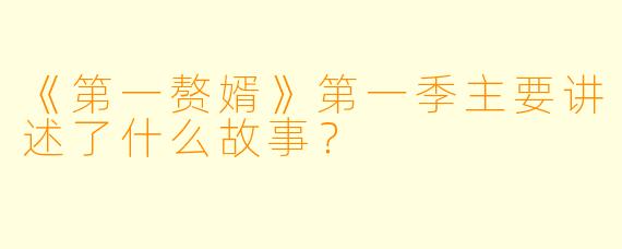 《第一赘婿》第一季主要讲述了什么故事?