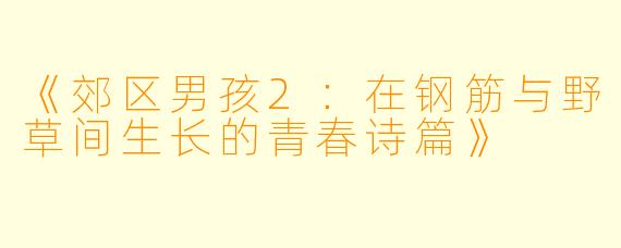 《郊区男孩2:在钢筋与野草间生长的青春诗篇》