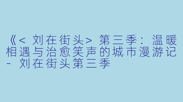 《<刘在街头>第三季：温暖相遇与治愈笑声的城市漫游记-刘在街头第三季