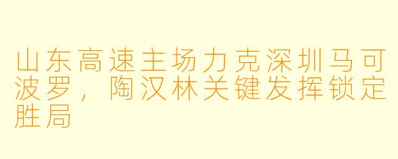 山东高速主场力克深圳马可波罗,陶汉林关键发挥锁定胜局