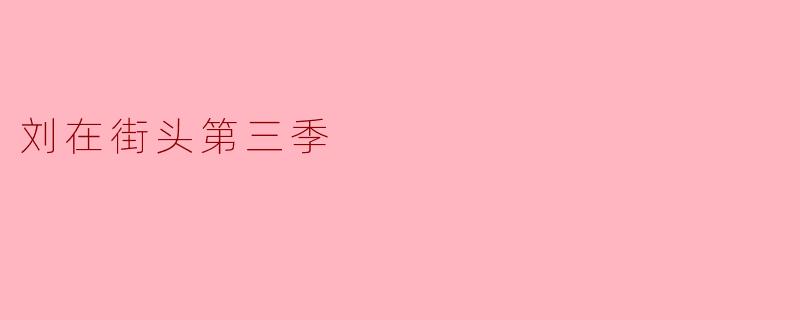 《<刘在街头>第三季:温暖相遇与治愈笑声的城市漫游记