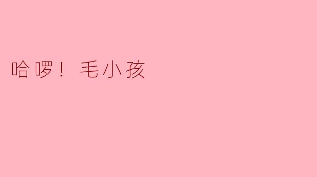 为什么《哈啰！毛小孩》这个节目适合全家一起观看？