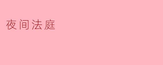 什么是夜间法庭?它的主要功能是什么?