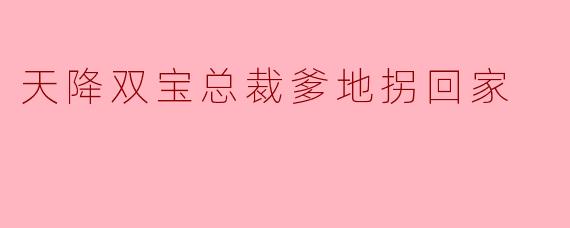 这本《天降双宝:总裁爹地拐回家》讲的是什么故事?