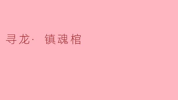 寻龙·镇魂棺