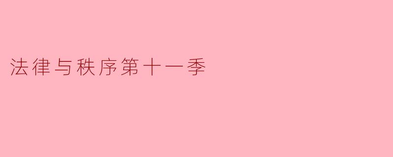 《法律与秩序》第十一季:正义的坚守与现实的拷问