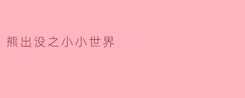 《熊出没之小小世界》:童心冒险中的成长与守护