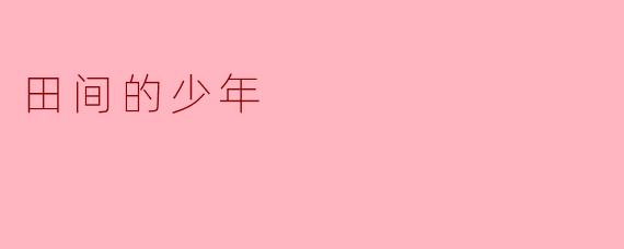 田间的少年