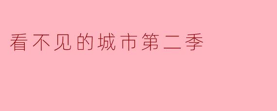 看不见的城市第二季