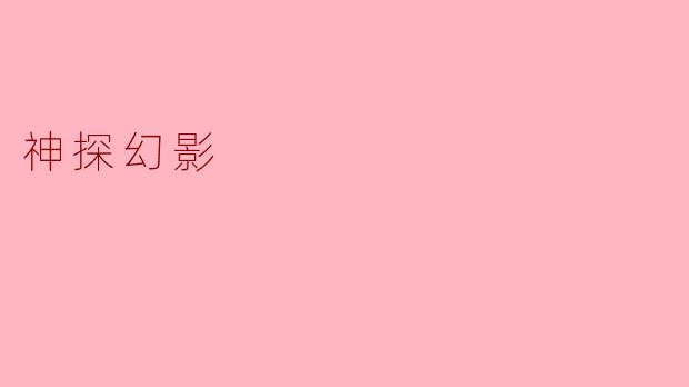 《神探幻影:迷雾中的正义之刃》