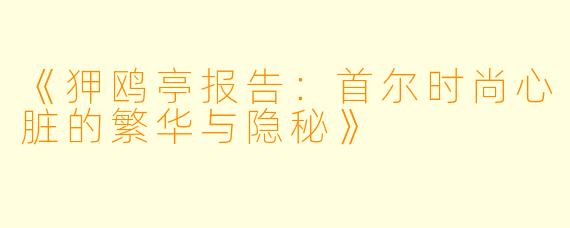 《狎鸥亭报告：首尔时尚心脏的繁华与隐秘》
