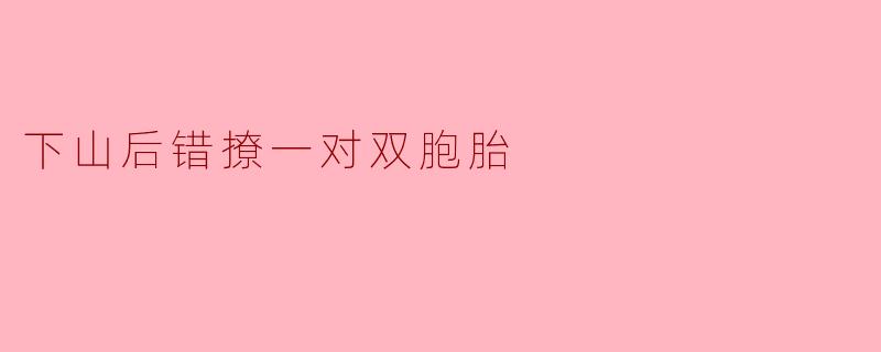 下山后错撩一对双胞胎