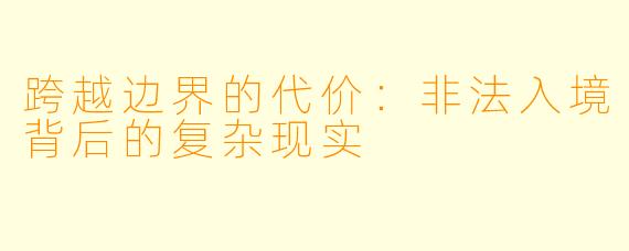 跨越边界的代价：非法入境背后的复杂现实
