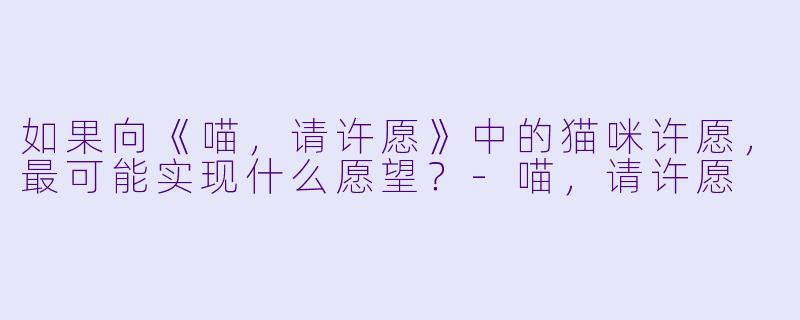 如果向《喵，请许愿》中的猫咪许愿，最可能实现什么愿望？