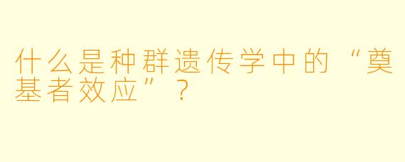 什么是种群遗传学中的“奠基者效应”？