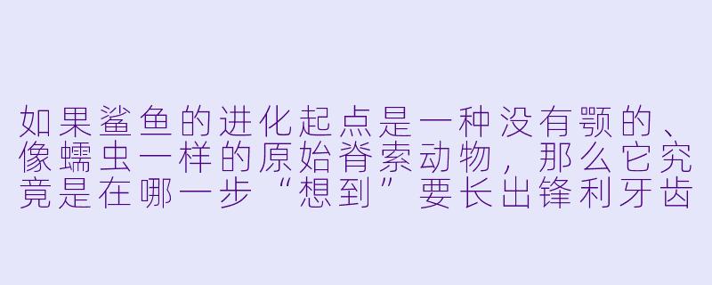如果鲨鱼的进化起点是一种没有颚的、像蠕虫一样的原始脊索动物，那么它究竟是在哪一步“想到”要长出锋利牙齿，成为海洋霸主的？-鲨鱼：起点