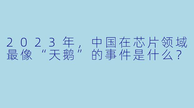 2023年，中国在芯片领域最像“天鹅”的事件是什么？